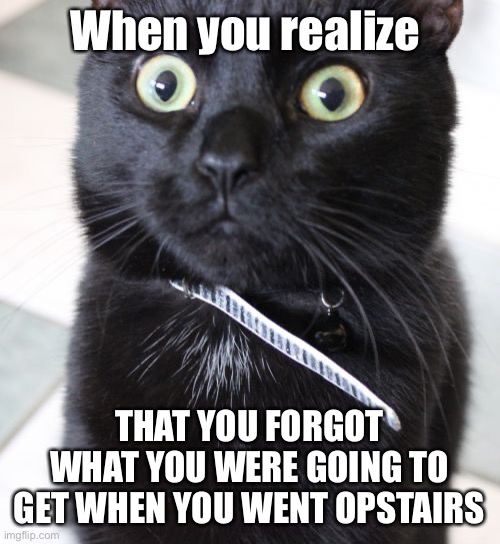 You Forgot… oh no | When you realize; THAT YOU FORGOT WHAT YOU WERE GOING TO GET WHEN YOU WENT OPSTAIRS | image tagged in memes,woah kitty,i forgot,i think i forgot something,oops | made w/ Imgflip meme maker