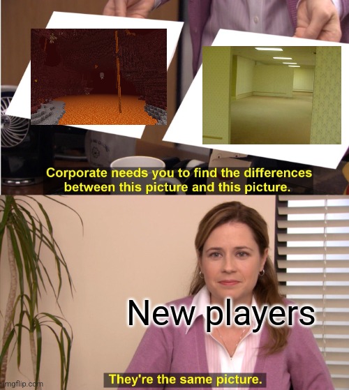 New Minecraft players: | New players | image tagged in memes,they're the same picture,the backrooms,nether,minecraft | made w/ Imgflip meme maker