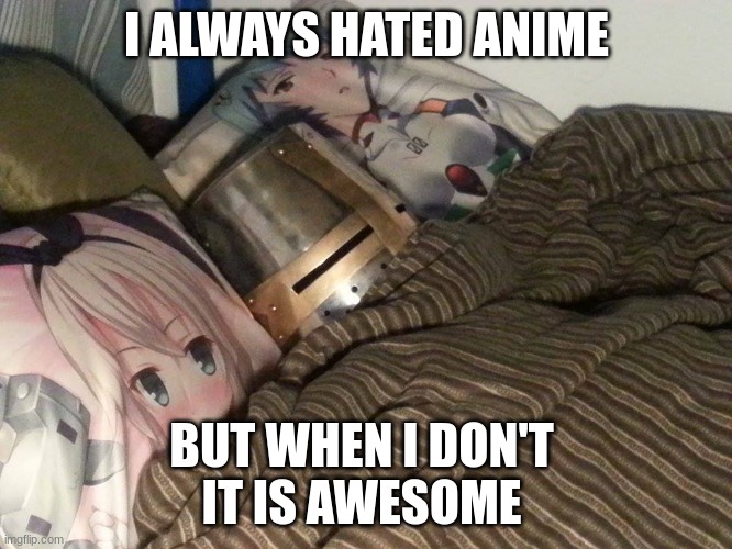 Weeb Crusader | I ALWAYS HATED ANIME; BUT WHEN I DON'T 
IT IS AWESOME | image tagged in weeb crusader | made w/ Imgflip meme maker