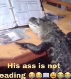 eading | made w/ Imgflip meme maker