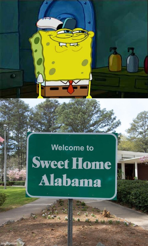 image tagged in memes,don't you squidward,welcome to sweet home alabama | made w/ Imgflip meme maker