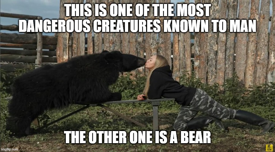 Dangerous | THIS IS ONE OF THE MOST DANGEROUS CREATURES KNOWN TO MAN; THE OTHER ONE IS A BEAR | image tagged in dangerous creature | made w/ Imgflip meme maker