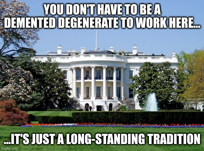 demented degenerate | YOU DON'T HAVE TO BE A DEMENTED DEGENERATE TO WORK HERE... ...IT'S JUST A LONG-STANDING TRADITION | image tagged in white house | made w/ Imgflip meme maker