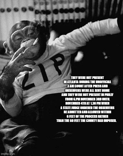 Zip the Smoking Chimp | THEY WERE NOT PRESENT IN ATLANTA DURING THE UNOFFICIAL 3 AM COUNT AFTER PRESS AND OBSERVERS WERE ALL SENT HOME AND THEY WERE NOT PRESENT IN  | image tagged in zip the smoking chimp | made w/ Imgflip meme maker