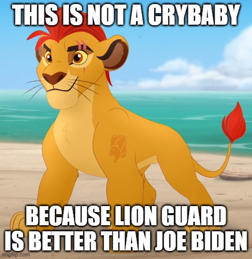 Take it, Joe | THIS IS NOT A CRYBABY; BECAUSE LION GUARD IS BETTER THAN JOE BIDEN | image tagged in rare footage,biden | made w/ Imgflip meme maker