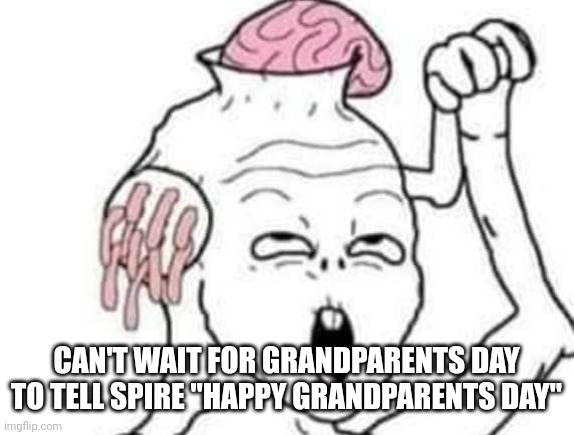 You guys know why... | CAN'T WAIT FOR GRANDPARENTS DAY TO TELL SPIRE "HAPPY GRANDPARENTS DAY" | image tagged in wojack meat grinder | made w/ Imgflip meme maker