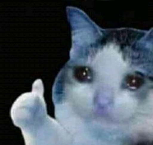 sad thumbs up cat | image tagged in sad thumbs up cat | made w/ Imgflip meme maker