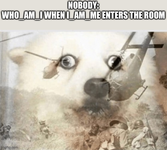 I had to | NOBODY:
WHO_AM_I WHEN I_AM_ME ENTERS THE ROOM | image tagged in ptsd dog,who_am_i | made w/ Imgflip meme maker