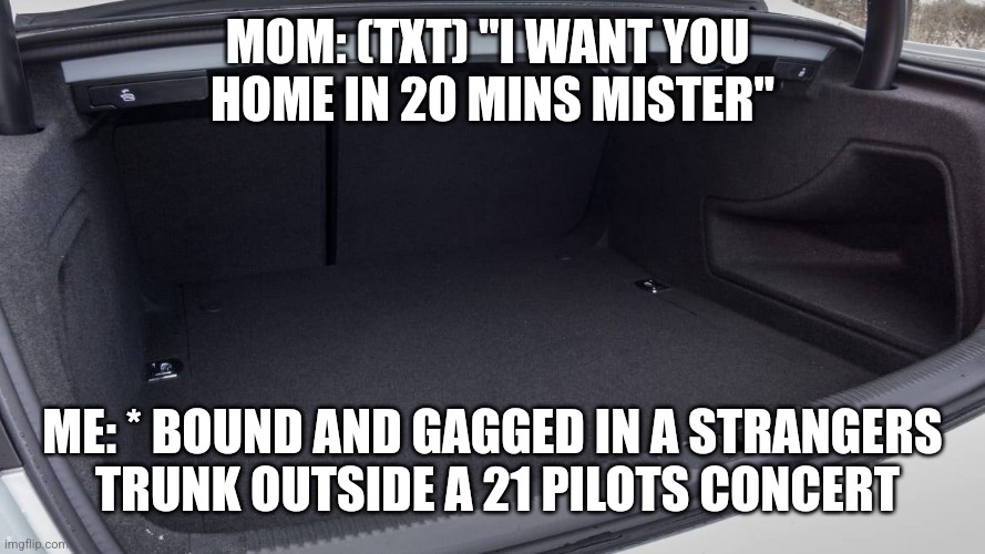 MOM: (TXT) "I WANT YOU 
HOME IN 20 MINS MISTER"; ME: * BOUND AND GAGGED IN A STRANGERS
 TRUNK OUTSIDE A 21 PILOTS CONCERT | image tagged in funny memes | made w/ Imgflip meme maker