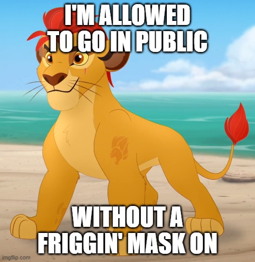 Rare footage | I'M ALLOWED TO GO IN PUBLIC; WITHOUT A FRIGGIN' MASK ON | image tagged in rare footage | made w/ Imgflip meme maker