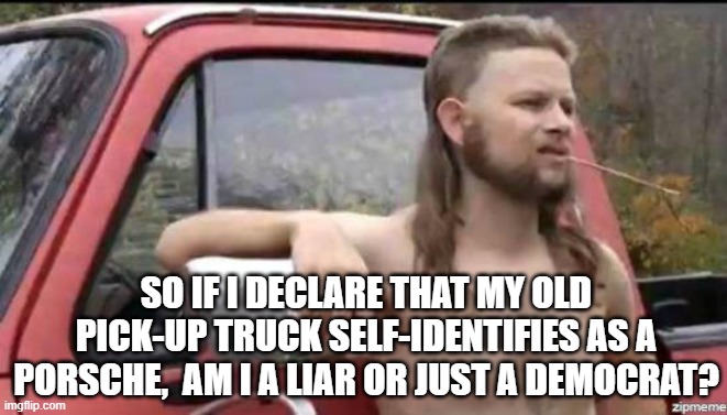 Is it a lie or ideology? | SO IF I DECLARE THAT MY OLD PICK-UP TRUCK SELF-IDENTIFIES AS A PORSCHE,  AM I A LIAR OR JUST A DEMOCRAT? | image tagged in almost politically correct redneck | made w/ Imgflip meme maker