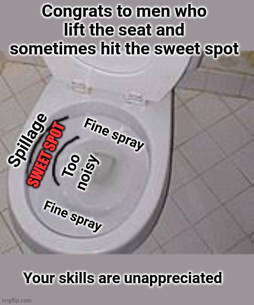 Men are Heroes |  Congrats to men who lift the seat and sometimes hit the sweet spot; Fine spray; Spillage; Too noisy; SWEET SPOT; Fine spray; Your skills are unappreciated | image tagged in men,heroes,sweet spot,toilet humor,toilet | made w/ Imgflip meme maker