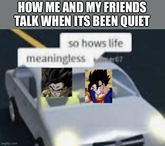 Vegito and Gogeta | HOW ME AND MY FRIENDS TALK WHEN ITS BEEN QUIET | image tagged in vegito and gogeta,dragon ball z,vegito,gogeta | made w/ Imgflip meme maker