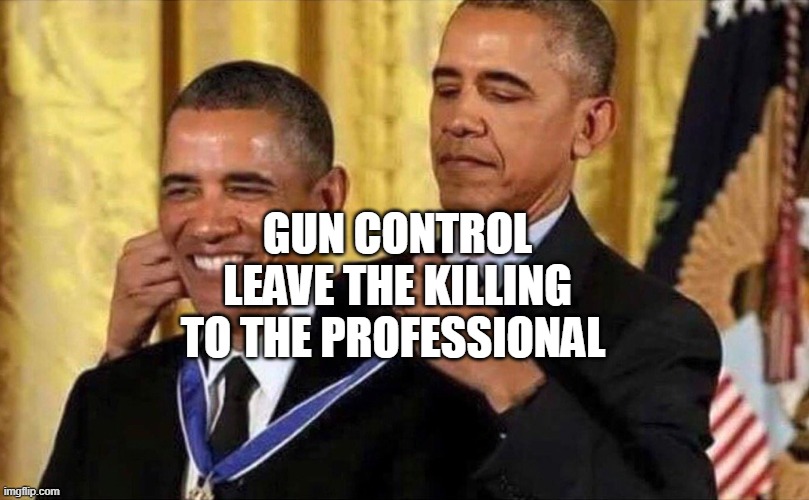 obama medal | GUN CONTROL LEAVE THE KILLING TO THE PROFESSIONAL | image tagged in obama medal | made w/ Imgflip meme maker