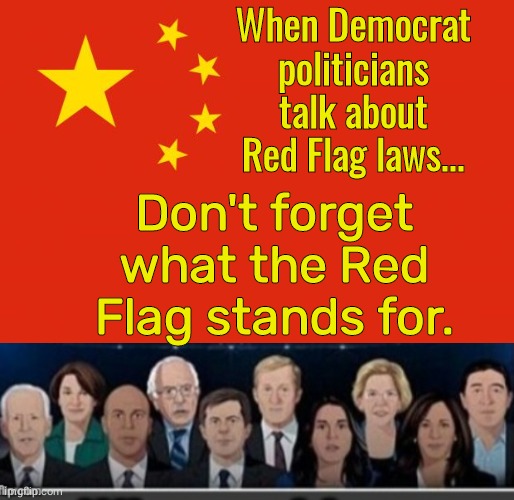 What Red Flag really stands for | When Democrat politicians talk about Red Flag laws... Don't forget what the Red Flag stands for. | image tagged in china flag,crooked democrats | made w/ Imgflip meme maker