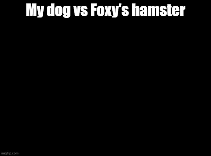deathmatch idea | My dog vs Foxy's hamster | image tagged in blank black,deathmatch,ideas | made w/ Imgflip meme maker