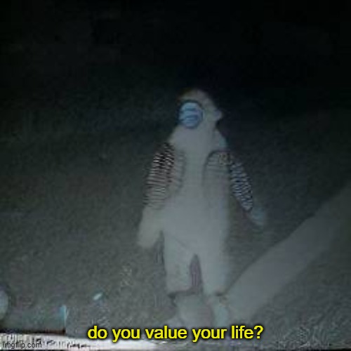 do you value your life | do you value your life? | image tagged in ronald mcdonald,funny,idk | made w/ Imgflip meme maker