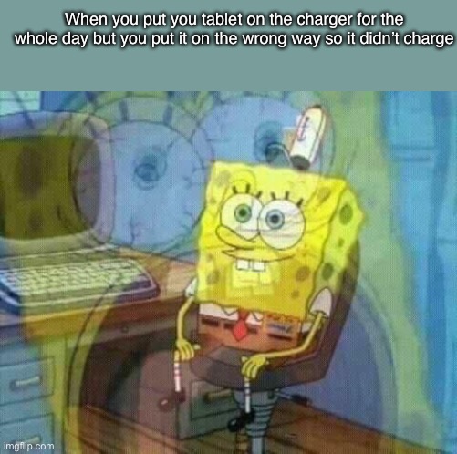 SpongeBob Panicking and Smiling | When you put you tablet on the charger for the whole day but you put it on the wrong way so it didn’t charge | image tagged in spongebob panicking and smiling | made w/ Imgflip meme maker