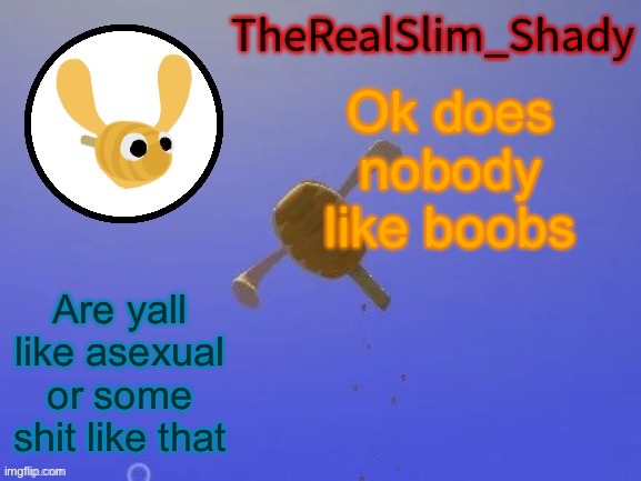 IGHT THIS IS GONNA BE LONG BUT IF YOU WANNA WASTE YOUR TIME YOU HAVE NO USE FOR, NOBODY GIVES A SHIT. STARTING NEXT YEAR, IMMA B | Ok does nobody like boobs; Are yall like asexual or some shit like that | image tagged in shady s hunnabee temp thanks carlos | made w/ Imgflip meme maker