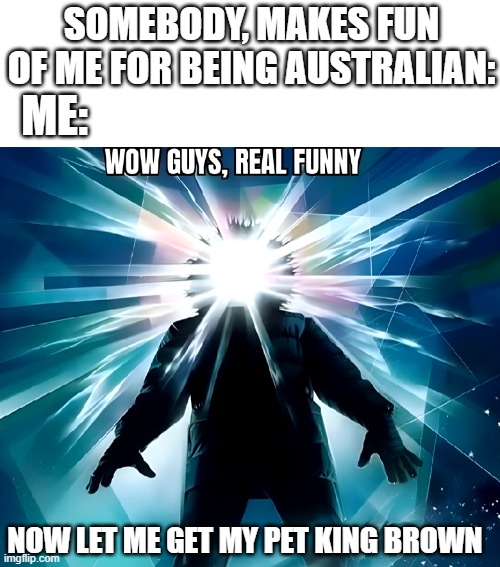 https://imgflip.com/i/6k85kk | SOMEBODY, MAKES FUN OF ME FOR BEING AUSTRALIAN:; ME:; NOW LET ME GET MY PET KING BROWN | image tagged in meme,australia,snake | made w/ Imgflip meme maker