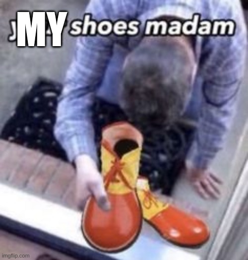 your shoes madam | MY | image tagged in your shoes madam | made w/ Imgflip meme maker