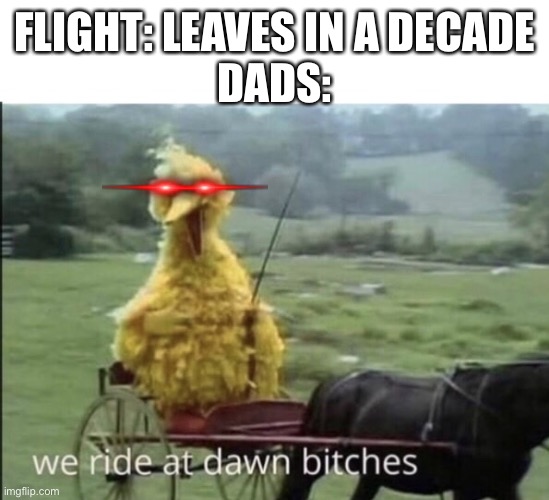 It’s -5:30 am wtf | FLIGHT: LEAVES IN A DECADE
DADS: | image tagged in we ride at dawn bitches | made w/ Imgflip meme maker