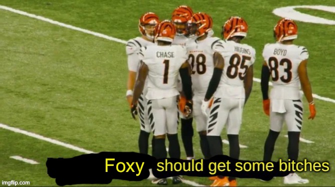 My guy you should get some bitches | Foxy | image tagged in my guy you should get some bitches | made w/ Imgflip meme maker