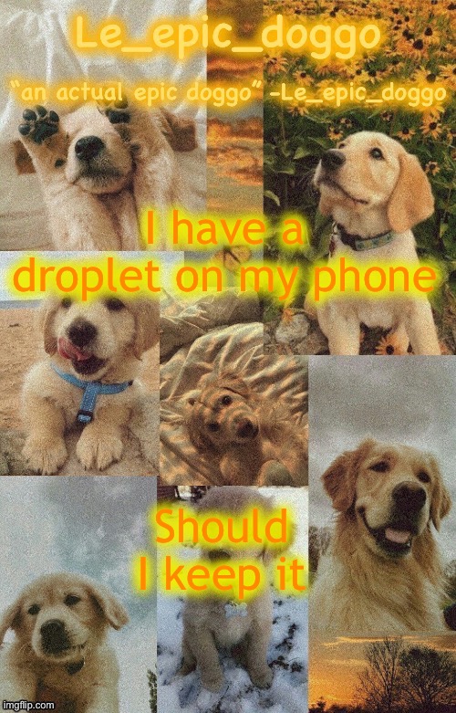 Doggo temp by doggo. Wait what that’s confusing | I have a droplet on my phone; Should I keep it | image tagged in doggo temp by doggo wait what that s confusing | made w/ Imgflip meme maker