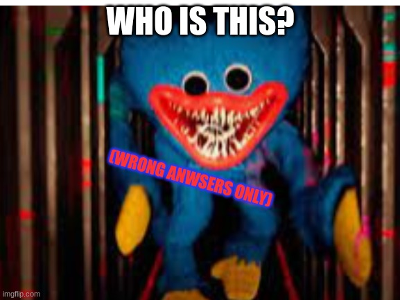 i'm restarting the wrong answers only memes | WHO IS THIS? (WRONG ANWSERS ONLY) | image tagged in poppy playtime,huggy wuggy,fun | made w/ Imgflip meme maker