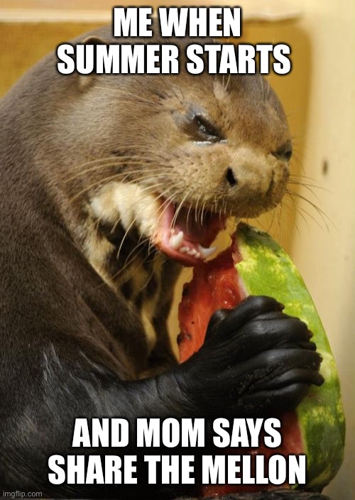 Mine thanks | ME WHEN SUMMER STARTS; AND MOM SAYS SHARE THE MELLON | image tagged in memes,self loathing otter | made w/ Imgflip meme maker