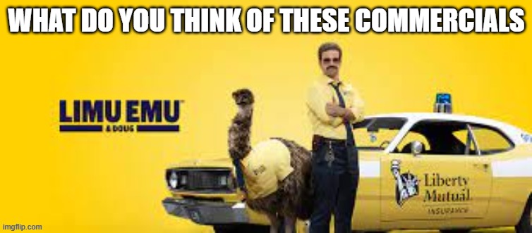 WHAT DO YOU THINK OF THESE COMMERCIALS | made w/ Imgflip meme maker