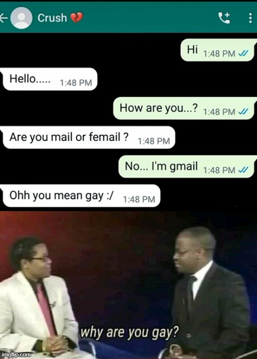 image tagged in why are you gay | made w/ Imgflip meme maker