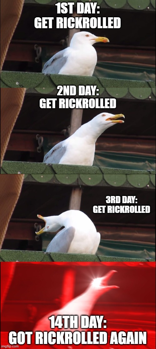 Rickroll season | 1ST DAY:
GET RICKROLLED; 2ND DAY:
GET RICKROLLED; 3RD DAY:
GET RICKROLLED; 14TH DAY:
GOT RICKROLLED AGAIN | image tagged in memes,inhaling seagull | made w/ Imgflip meme maker