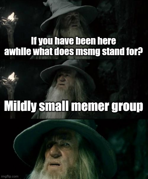 I'm soooooo funny | If you have been here awhile what does msmg stand for? Mildly small memer group | image tagged in memes,confused gandalf | made w/ Imgflip meme maker