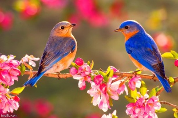 image tagged in awesome | made w/ Imgflip meme maker