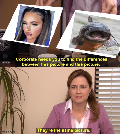 Same Picture | image tagged in memes,they're the same picture,catfish,online dating | made w/ Imgflip meme maker