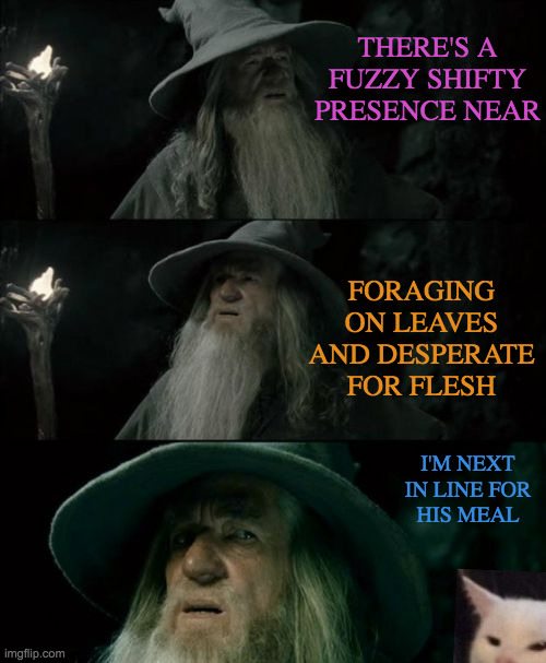 Better Hunting in the Woods than the Dinner Table | THERE'S A FUZZY SHIFTY PRESENCE NEAR; FORAGING ON LEAVES AND DESPERATE FOR FLESH; I'M NEXT IN LINE FOR    HIS MEAL | image tagged in memes,confused gandalf,angry lady cat,night fury,look at me,cat food | made w/ Imgflip meme maker