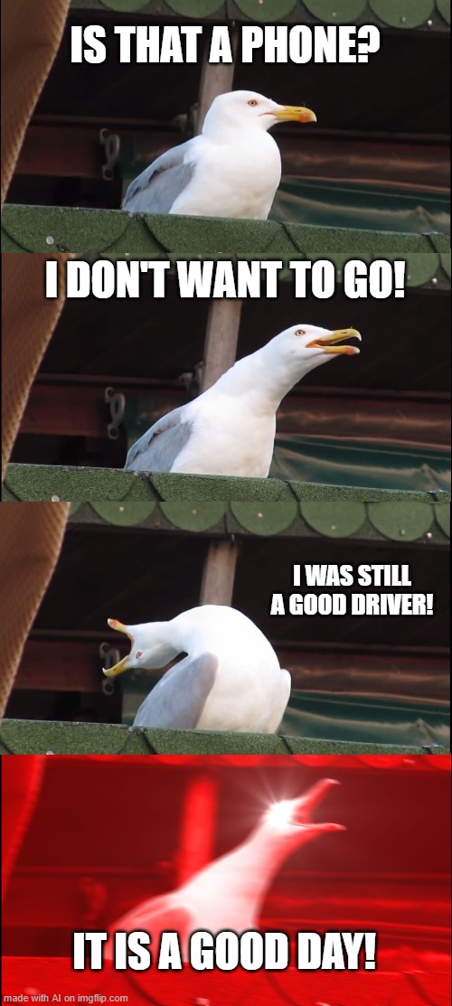 why is this funny | IS THAT A PHONE? I DON'T WANT TO GO! I WAS STILL A GOOD DRIVER! IT IS A GOOD DAY! | image tagged in memes,inhaling seagull | made w/ Imgflip meme maker