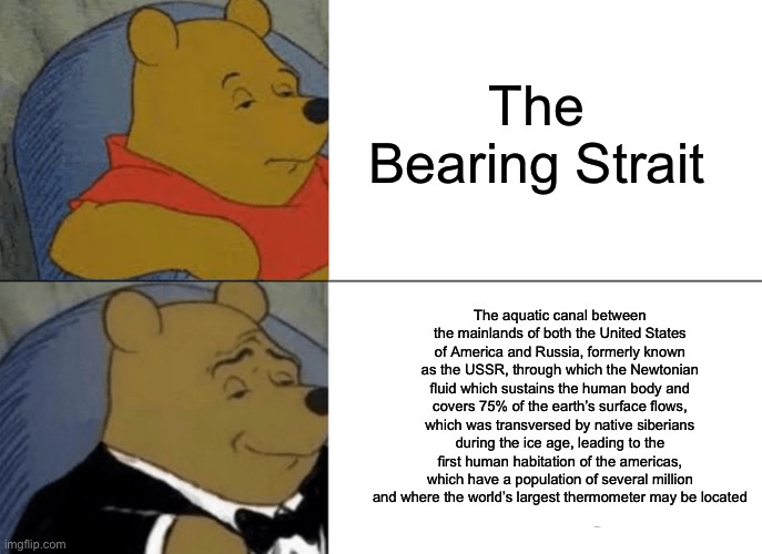 Tuxedo Winnie The Pooh Meme | The Bearing Strait; The aquatic canal between the mainlands of both the United States of America and Russia, formerly known as the USSR, through which the Newtonian fluid which sustains the human body and covers 75% of the earth’s surface flows, which was transversed by native siberians during the ice age, leading to the first human habitation of the americas, which have a population of several million and where the world’s largest thermometer may be located | image tagged in memes,tuxedo winnie the pooh | made w/ Imgflip meme maker