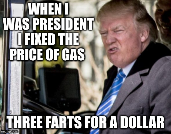 probably? | WHEN I WAS PRESIDENT I FIXED THE PRICE OF GAS THREE FARTS FOR A DOLLAR | image tagged in rumpt | made w/ Imgflip meme maker