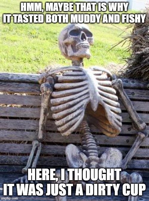 Waiting Skeleton Meme | HMM, MAYBE THAT IS WHY IT TASTED BOTH MUDDY AND FISHY HERE, I THOUGHT IT WAS JUST A DIRTY CUP | image tagged in memes,waiting skeleton | made w/ Imgflip meme maker