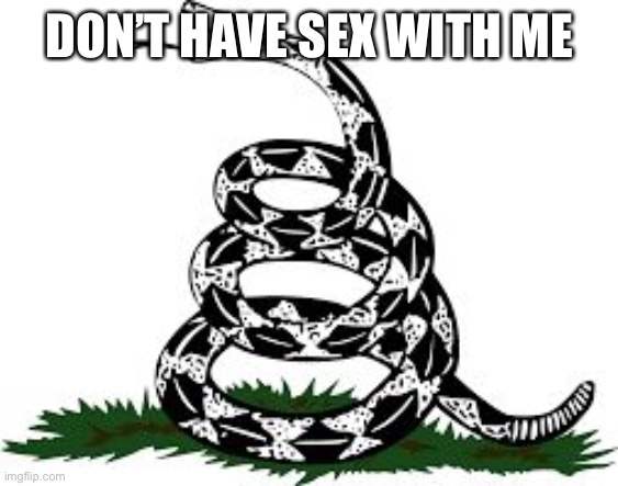 Don't Tread On Me | DON’T HAVE SEX WITH ME | image tagged in don't tread on me | made w/ Imgflip meme maker