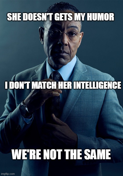 oh come on! |  SHE DOESN'T GETS MY HUMOR; I DON'T MATCH HER INTELLIGENCE; WE'RE NOT THE SAME | image tagged in gus fring we are not the same | made w/ Imgflip meme maker