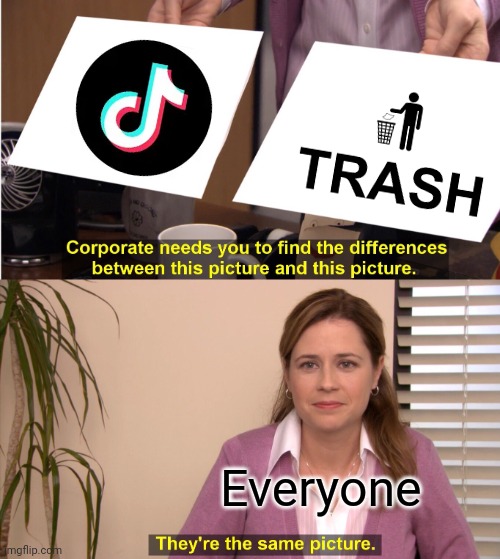 They're The Same Picture | Everyone | image tagged in memes,they're the same picture,tiktok,tiktok sucks,garbage | made w/ Imgflip meme maker