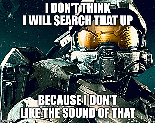 Masterchief | I DON'T THINK I WILL SEARCH THAT UP; BECAUSE I DON'T LIKE THE SOUND OF THAT | image tagged in masterchief | made w/ Imgflip meme maker