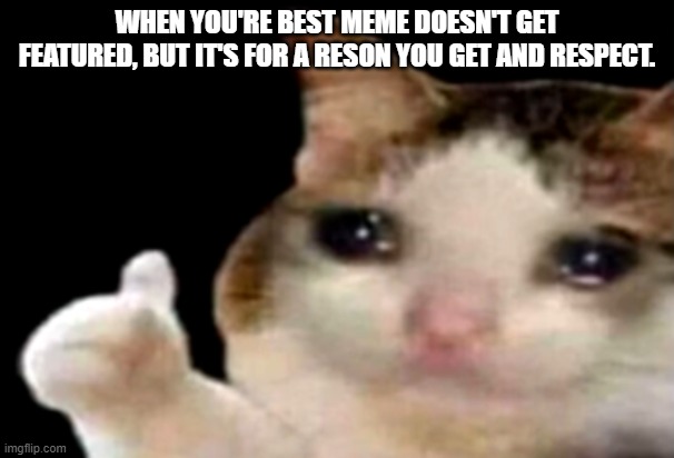 I respect why, but I lost what probably would have been my best meme. | WHEN YOU'RE BEST MEME DOESN'T GET FEATURED, BUT IT'S FOR A RESON YOU GET AND RESPECT. | image tagged in sad cat thumbs up,damn,memes,sad | made w/ Imgflip meme maker