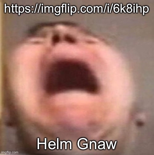 . | https://imgflip.com/i/6k8ihp; Helm Gnaw | made w/ Imgflip meme maker