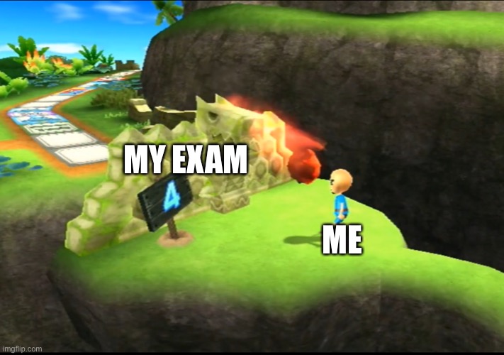 aaa | MY EXAM; ME | image tagged in aaa | made w/ Imgflip meme maker