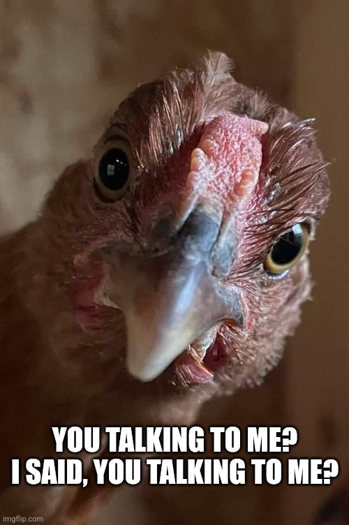 You talking to me | YOU TALKING TO ME? I SAID, YOU TALKING TO ME? | image tagged in fun | made w/ Imgflip meme maker