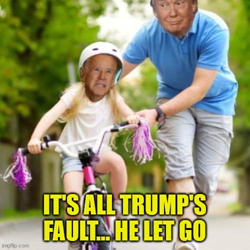 They always find a way to blame Trump | IT'S ALL TRUMP'S FAULT... HE LET GO | image tagged in dementia,joe biden | made w/ Imgflip meme maker